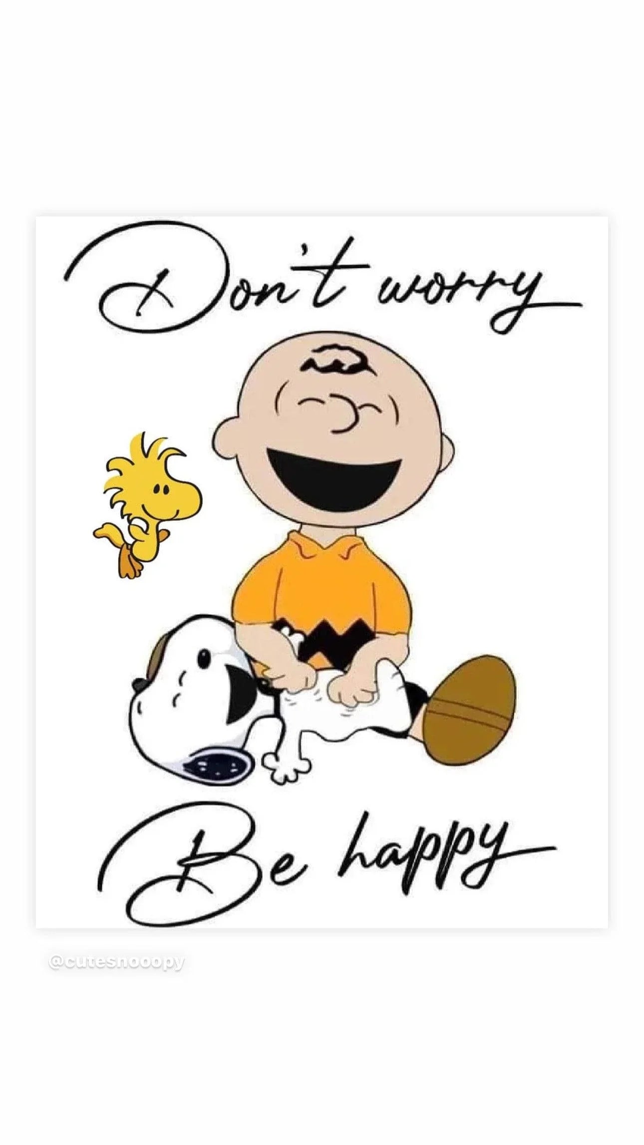 Pop Art Fusion Peanuts design featuring smiling Charlie Brown, Snoopy lying down, Woodstock flying, with text Don't worry Be happy