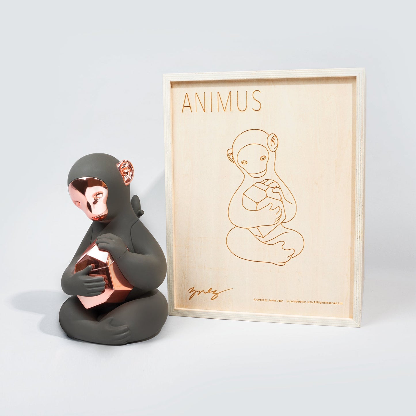 Animus