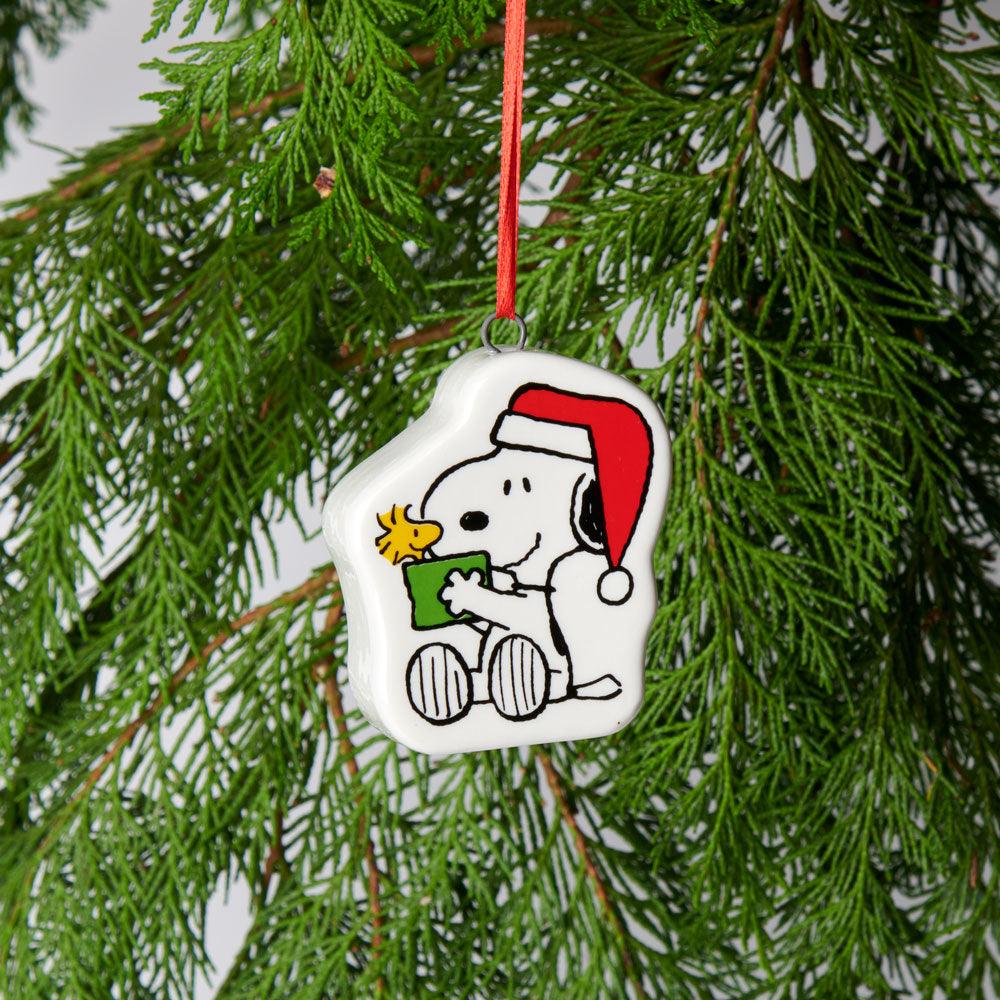 Peanuts Bauble Gift - PopArtFusion