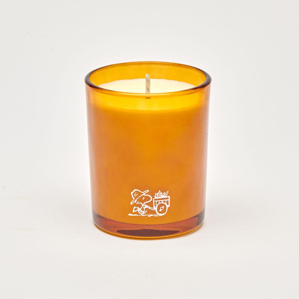 Peanuts Candle - Blooms - PopArtFusion